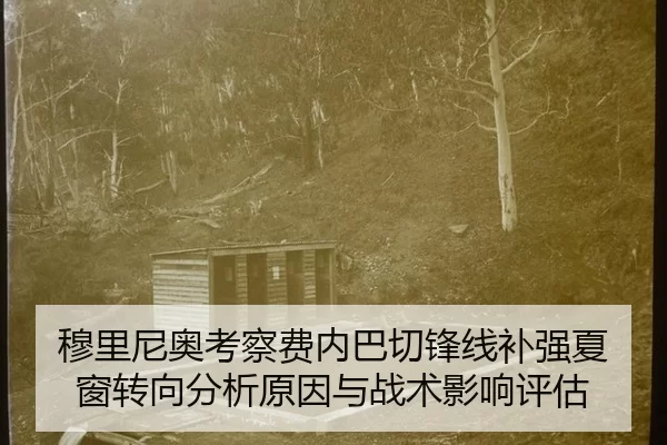 穆里尼奥考察费内巴切锋线补强夏窗转向分析原因与战术影响评估